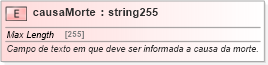 XSD Diagram of causaMorte