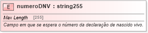 XSD Diagram of numeroDNV