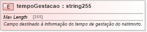 XSD Diagram of tempoGestacao