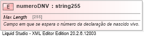 XSD Diagram of numeroDNV