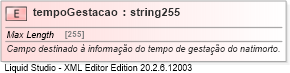 XSD Diagram of tempoGestacao